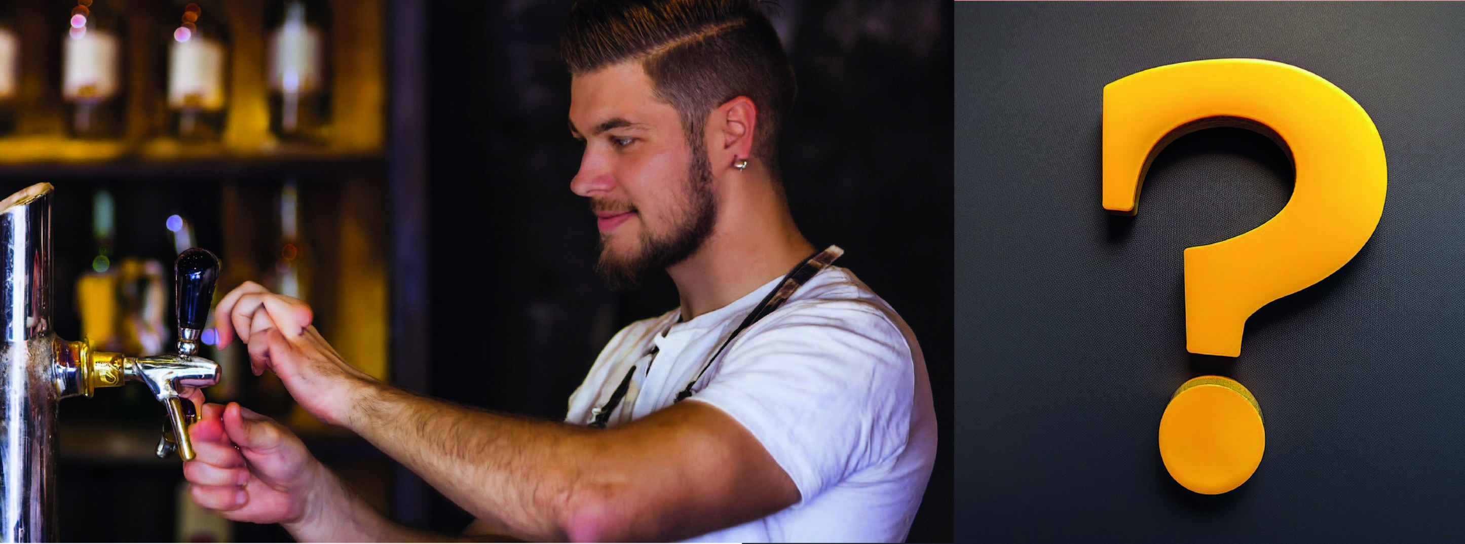 Acquistare un sistema di erogazione per la casa: la decisione giusta? Kauf einer Bierzapfanlage für zu Hause ist eine gute Entscheidung